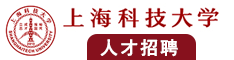 骚逼舒服…用力干…视频